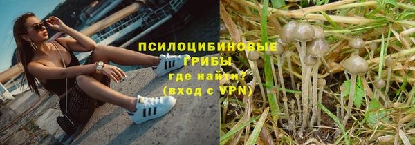 СК Аркадак