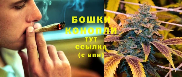 СК Аркадак