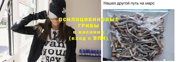 СК Аркадак